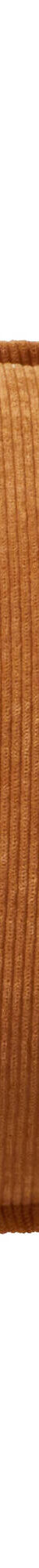 Coussin uni velours côtelé (caramel) Coussin uni velours côtelé (caramel)